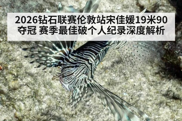 2026钻石联赛伦敦站宋佳媛19米90夺冠 赛季最佳破个人纪录深度解析